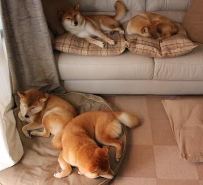 机械心脏与锈蚀匕首，当理性统治遭遇血性斩落