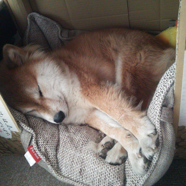 速度与赋格，当F1轮胎的尖啸化作爵士乐横扫费城的夜晚