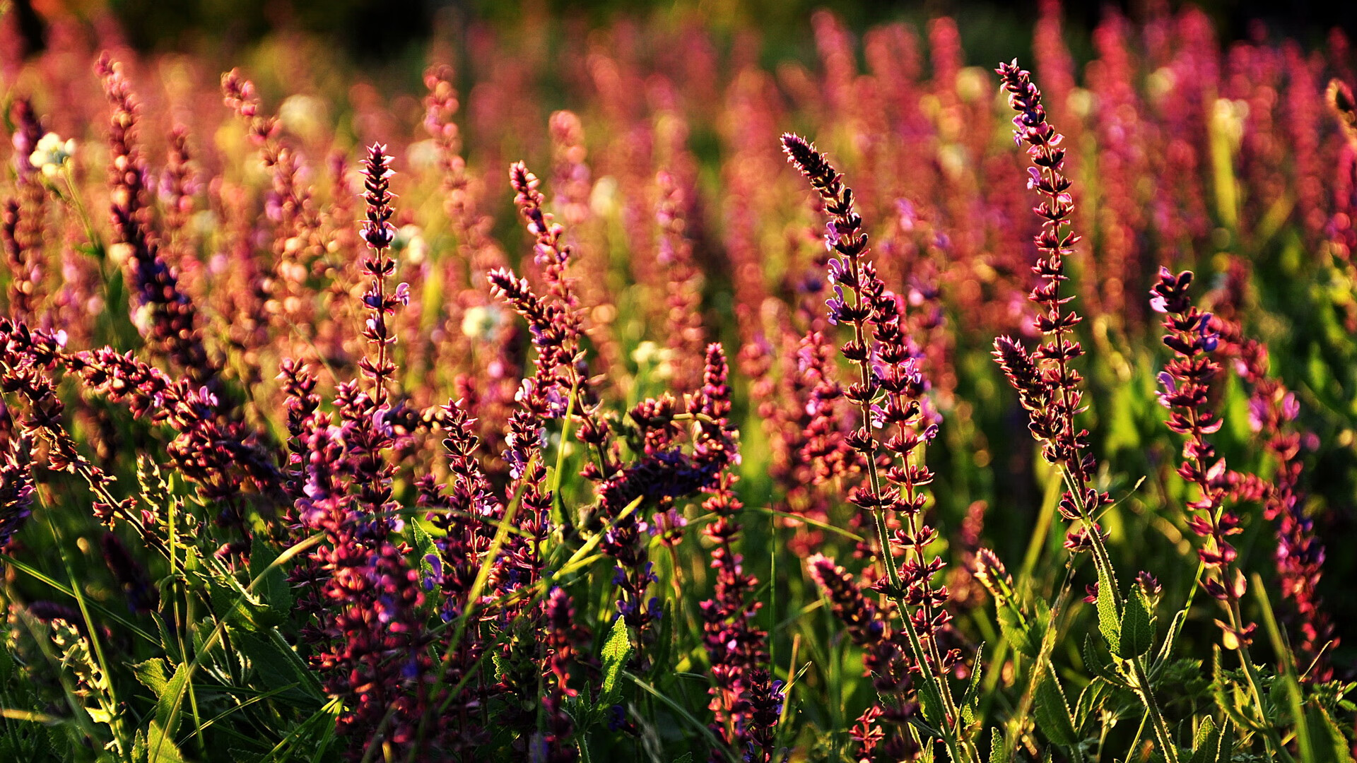 量子纠缠的赛场，当塔图姆的45分与山西队末节36-8高潮同时发生