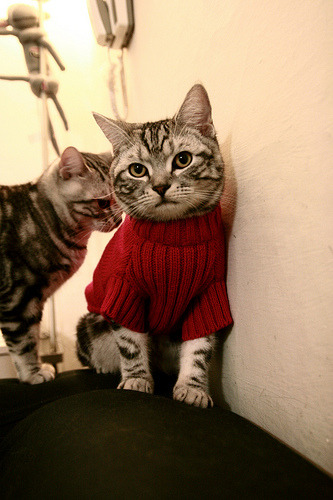 更大的舞台,更强的定义权