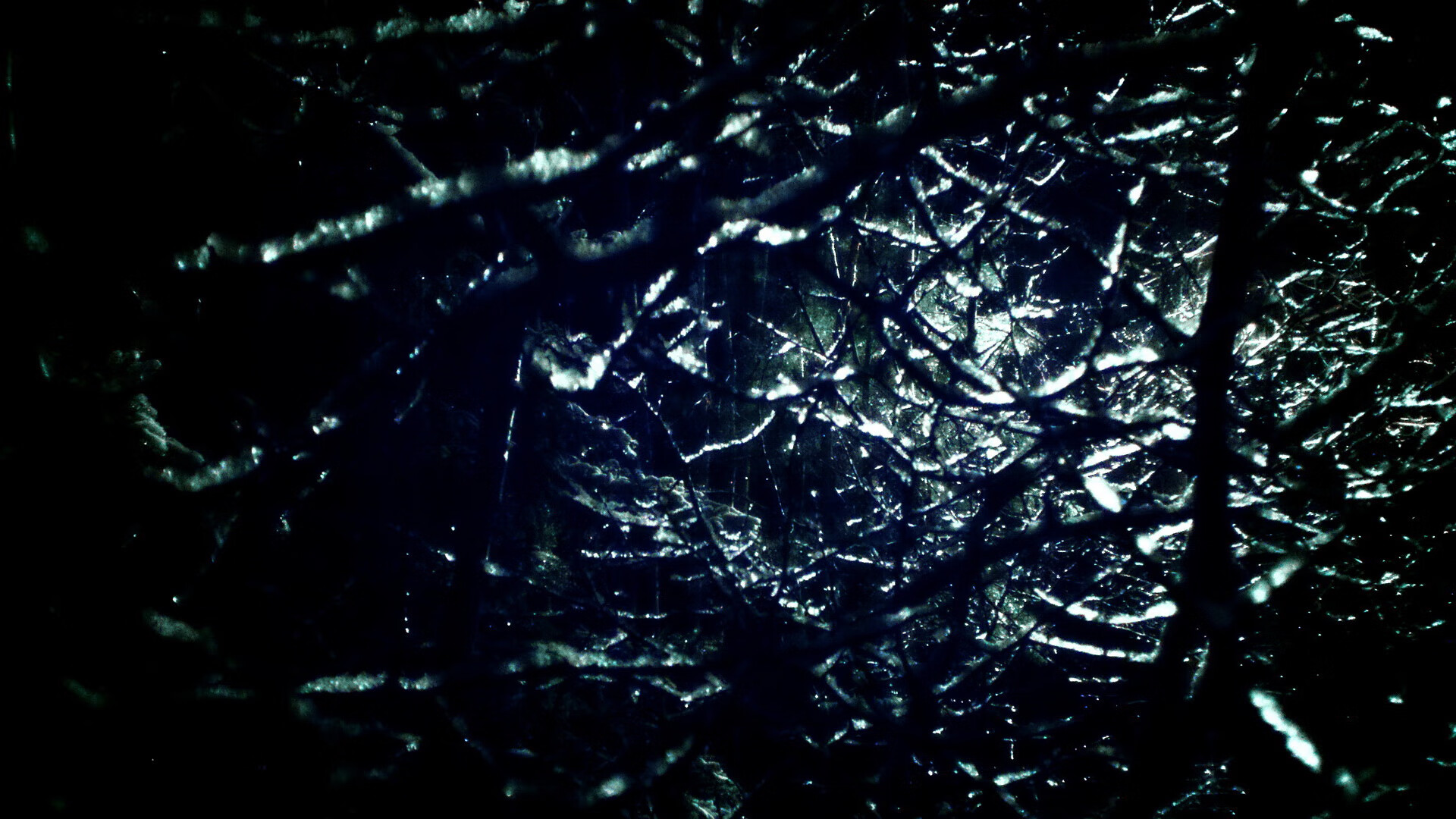 欧冠之夜,多特蒙德碾压葡萄牙体育,卡塞米罗防守端锁死对手却难挽狂澜