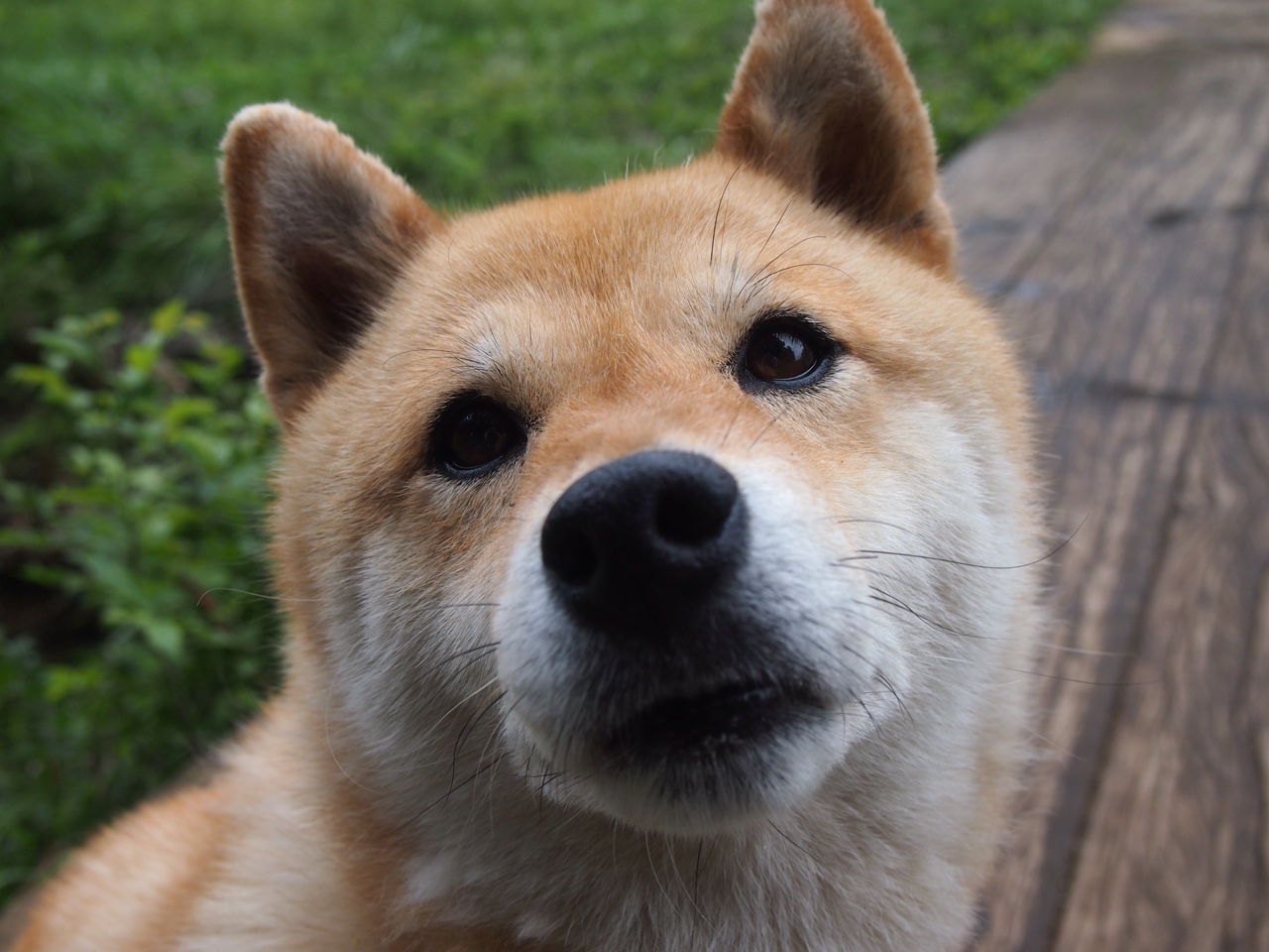 交响乐与独奏曲，从马刺的团队横扫到恩比德的个人接管