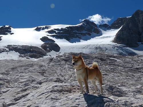 虚拟时空的交锋，当绿茵魔方转动，贝林厄姆如何主宰伊朗与芬兰的平行对决