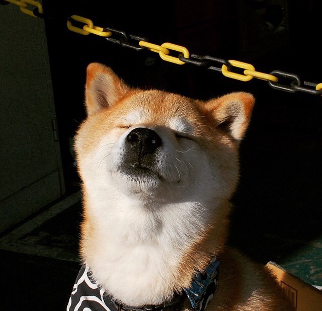 秒针拨快四分钟，当锡安用无言的暴烈提前吹散终场烟尘