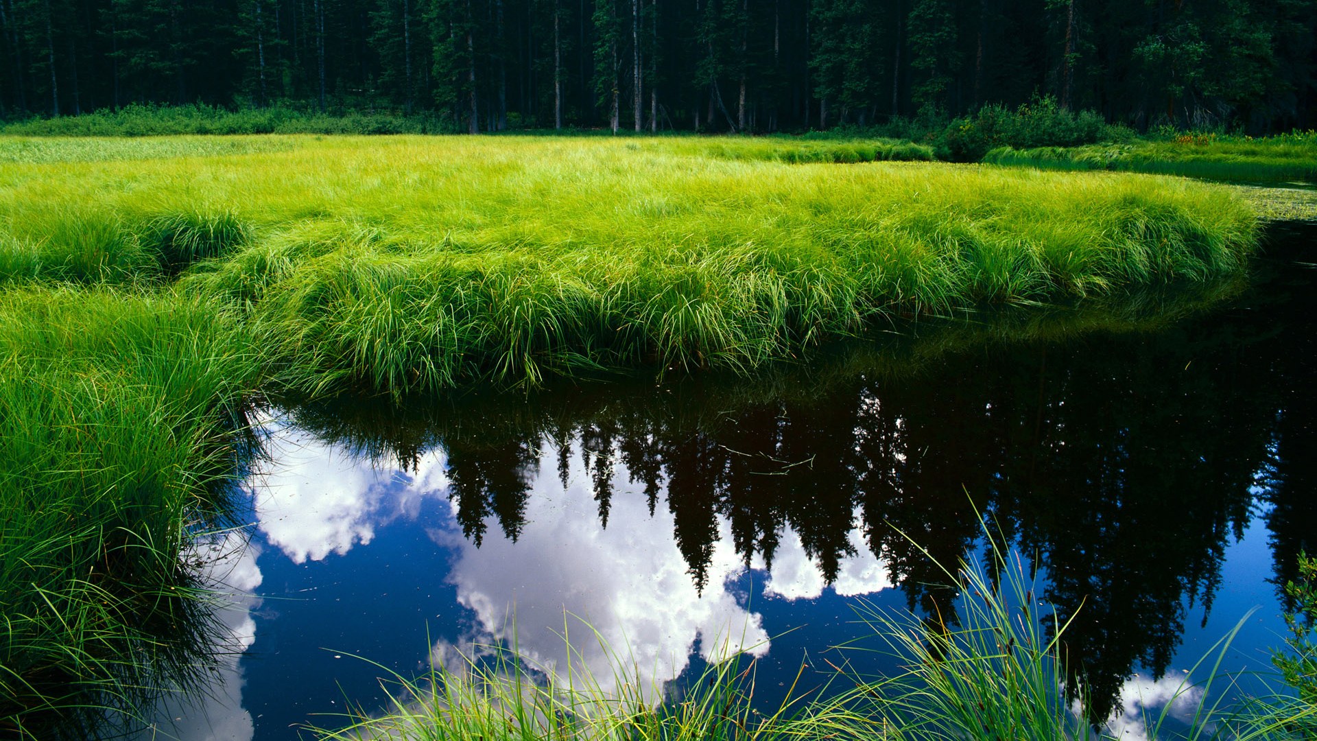 云淡风轻与铁血绞杀,当奥纳纳的冠军表演,遇上瑞典安哥拉的生死时速