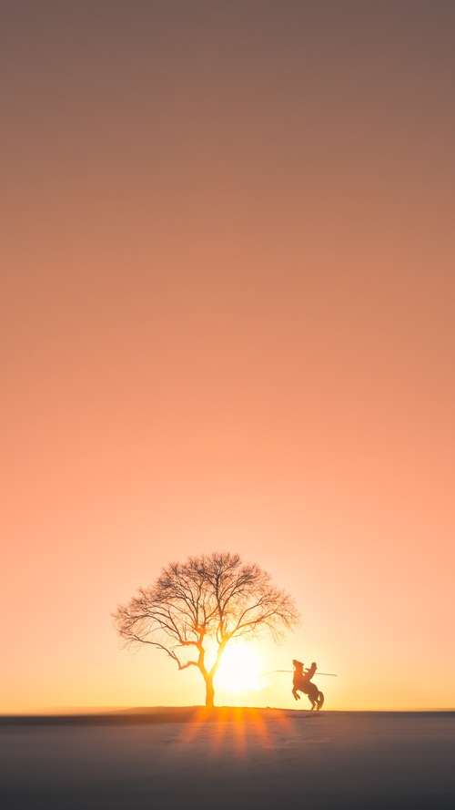 当胜利者成为背景板,勇士与文班亚马的双输博弈