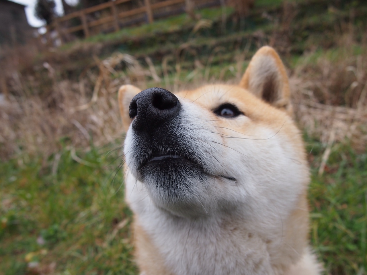 唯一的卫冕者，欧冠决赛之夜，福登用实力完成加冕